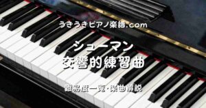 シューマン 交響的練習曲 top_001