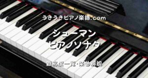シューマン ピアノソナタ top_001
